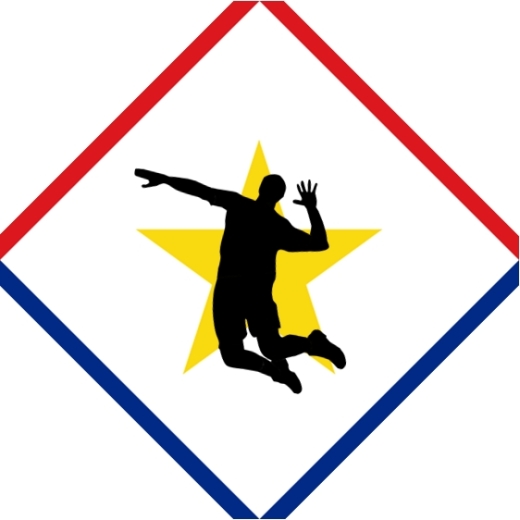 SVA Logo temp